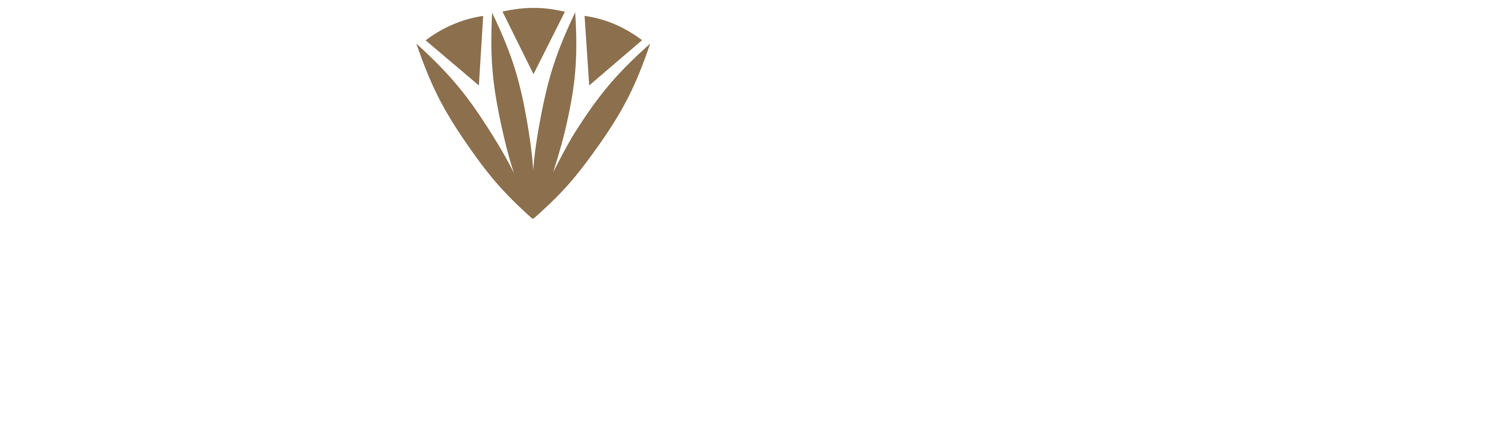 IRIS CRISTAL BOHEMIA logo